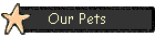 Our Pets