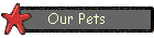 Our Pets